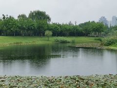 -眉山湿地公园(东坡区)