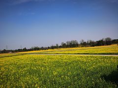 -中国天府农业博览园