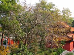 -南岳衡山风景名胜区