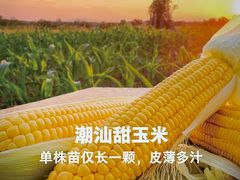 -左庭右院鲜牛肉火锅(京西大悦城店)