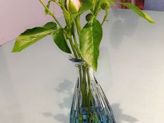 -伊斯坦布尔土耳其清真咖啡餐厅