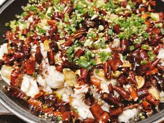 黑鱼花-三猫黑鱼花(南大店)