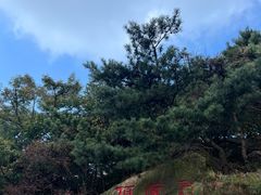 -沂蒙山旅游区龟蒙景区