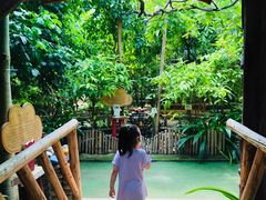 -呀路古热带植物园