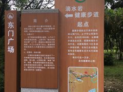 -滴水岩森林公园