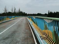 -白鹭湾湿地公园