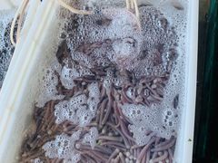 -蓝湾碧波·老字号·疍家非遗海上餐厅