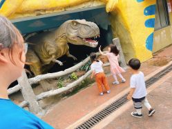 点击看大图 -宝燕乐园(闵行旗舰店)