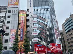 -秋叶原电器街