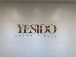 -YESIDO椰岛造型
