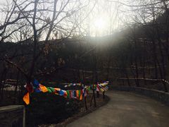 景点-阳台山自然风景区