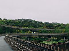 -福道