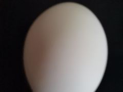 -亚马逊蒸汽活海鲜自助(长宁来福士店)