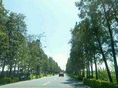 android_upload_pic-海鸥岛