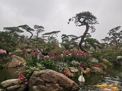 -罗红摄影艺术馆