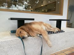 -猫街麻糍哥(思明南路店)