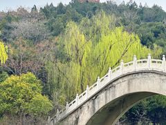 -禹州森林植物园