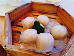 -宝园酒家(美林M·LIVE天地东座店)