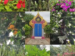 -中国科学院西双版纳热带植物园