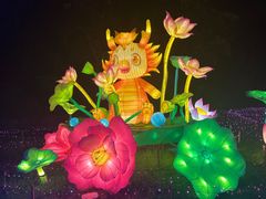 -广西壮族自治区药用植物园