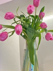 -禾壹净·素颜美问题肌肤修护中心