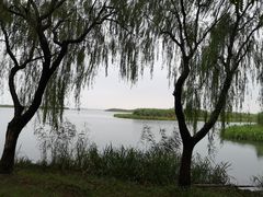 -新木器时代餐厅(太湖新天地店)
