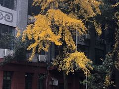 -四川大学(望江校区)