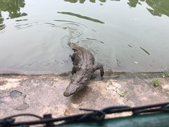 -三水森林公园