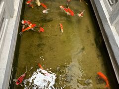 -鲤院·新中式美学·庭院餐厅(夫子庙店)