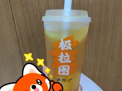 -极拉图·现制冰淇淋(大卫城店)