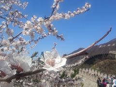 -慕田峪长城