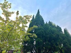 -成都武侯祠博物馆