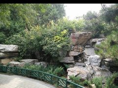 -玲珑塔公园