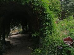 -东莞植物园