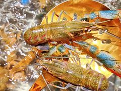 -海玥荟海鲜姿造自助餐厅(欧罗巴广场店)