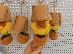 -杭州湾海上花田景区