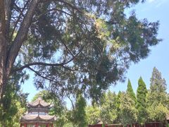 -洛阳白马寺