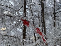 -崂山巨峰游览区
