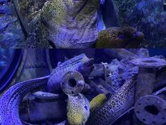 -成都浩海立方海洋公园