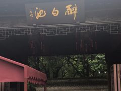 -上海醉白池公园