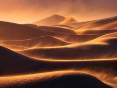 -沪上阿姨鲜果茶(海宁工人路店)