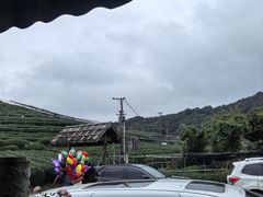 -听风阁农家私房菜茶楼(龙坞店)