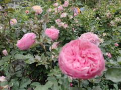 -人民公园(罗湖区)