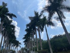 -光明小镇欢乐田园