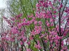 -梁鸿国家湿地公园