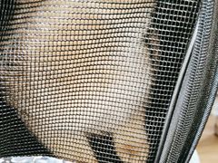 -爱侣·安琦尔宠物医院·中兽医针灸·心内科·狂犬免疫点(宝山区院)