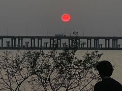 -宝安西湾红树林湿地公园