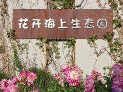 -花开海上生态园