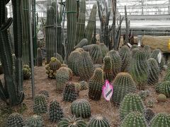 -南山植物园