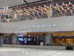 -TheRink大零溜冰场(IFS国金中心店)